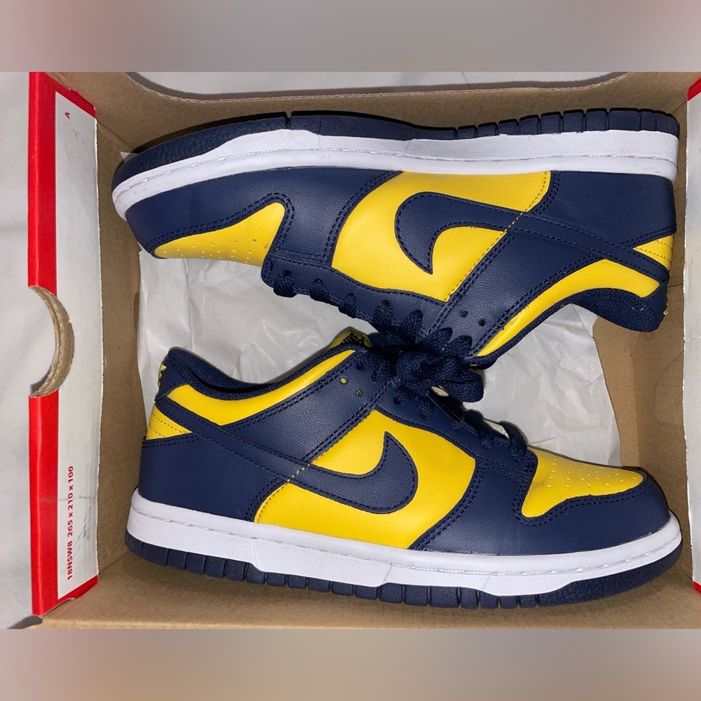Dunk low Michigan GS